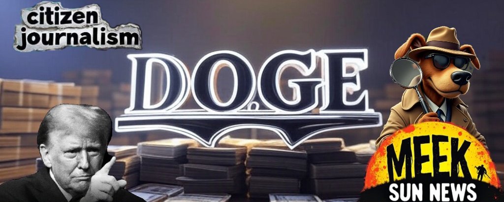 DOGE cover art supplied with the original Oddity article